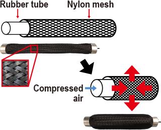 McKibben artificial muscles