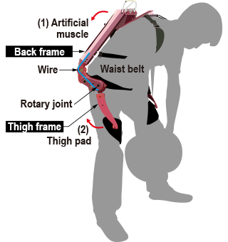 Mechanism for providing back support