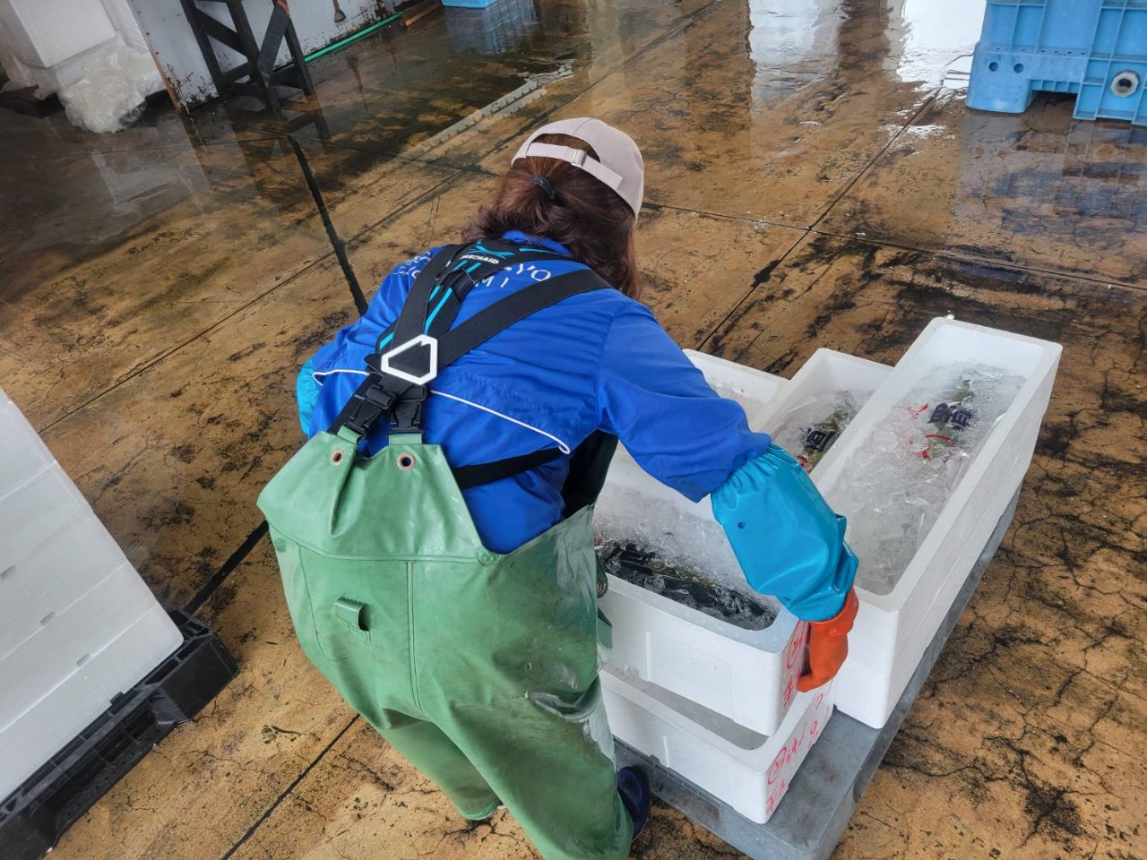 高齢化・腰痛・人手不足に挑む 200 年以上続く定置網漁の現場へ