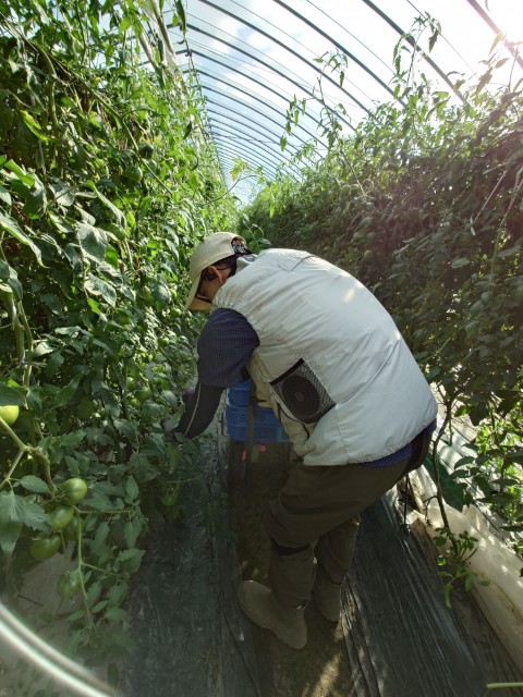 2a0adbd999bf59405f8dbf5c0ce974